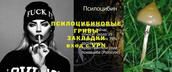 ПСИЛОЦИБИНОВЫЕ ГРИБЫ Абинск