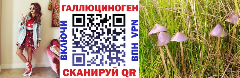 закладки  Южноуральск  Галлюциногенные грибы мицелий 